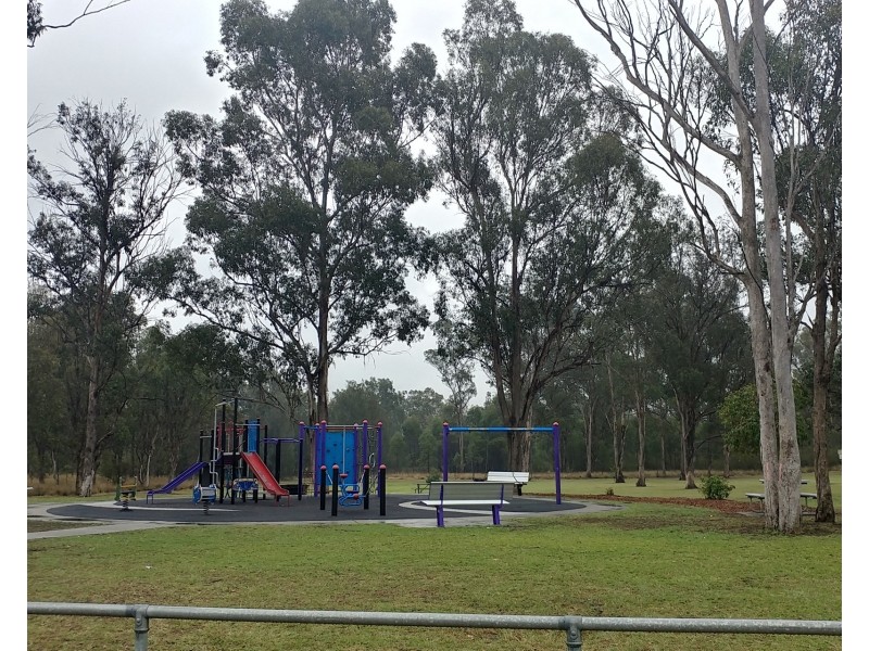 46 Brier Crescent, Quakers Hill NSW 2763