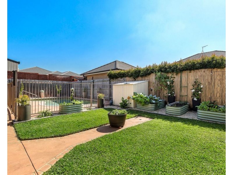 3 Camellia Street, Pitt Town NSW 2756