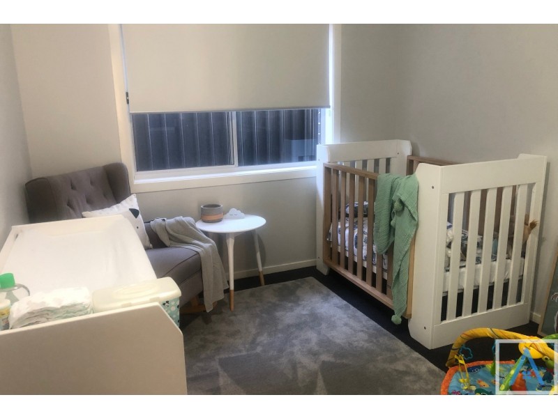 16 Hurst Street, Spring Farm NSW 2570