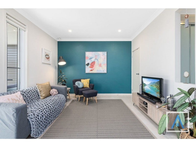 111 Liz Kernohan Drive, Elderslie NSW 2570