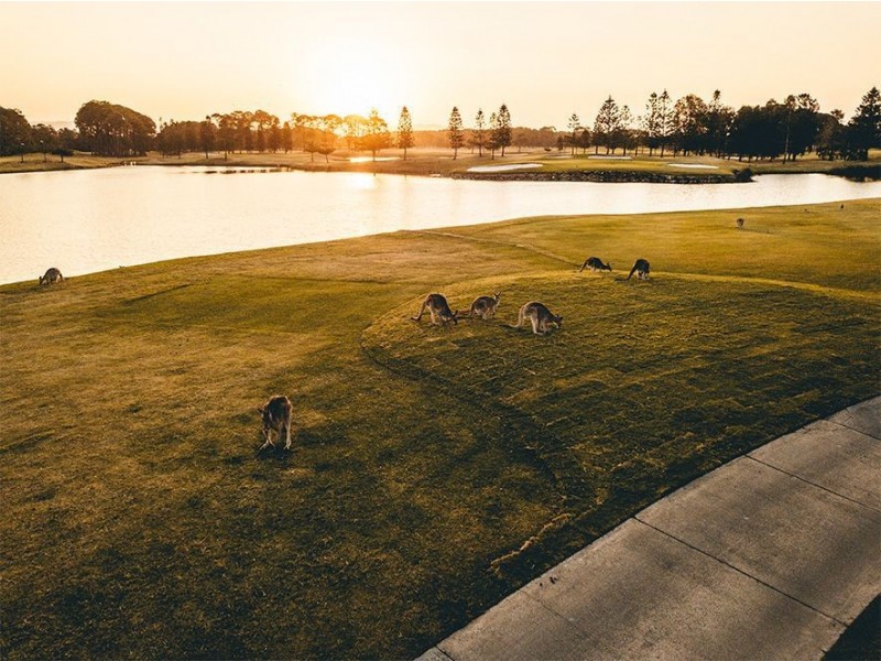 8949 The Point Circuit, Sanctuary Cove QLD 4212