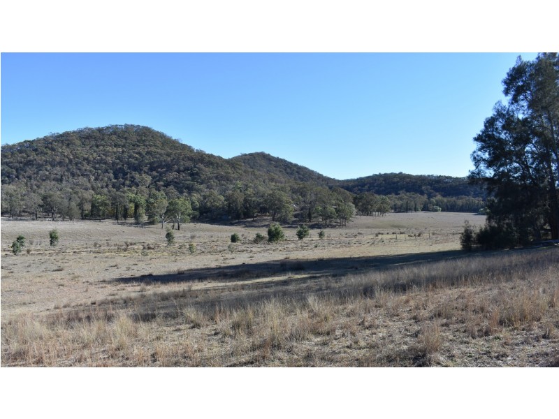 Lot 101/3062 Wybong Road, Hollydeen NSW 2328