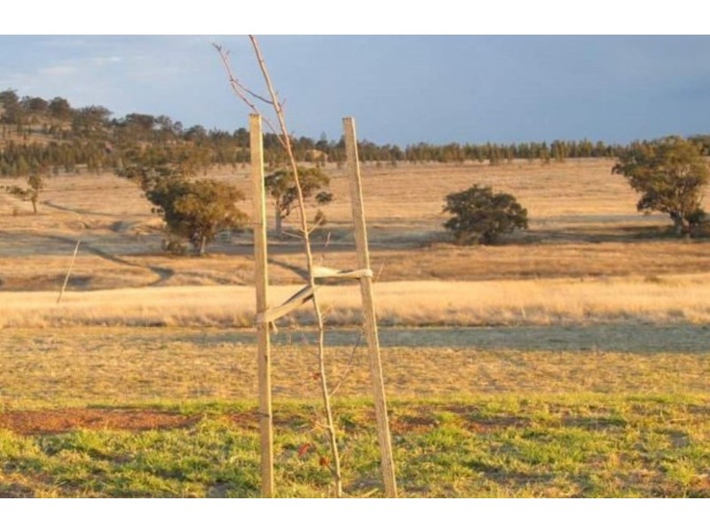 Lot 24/93 Perth Street, Aberdeen NSW 2336