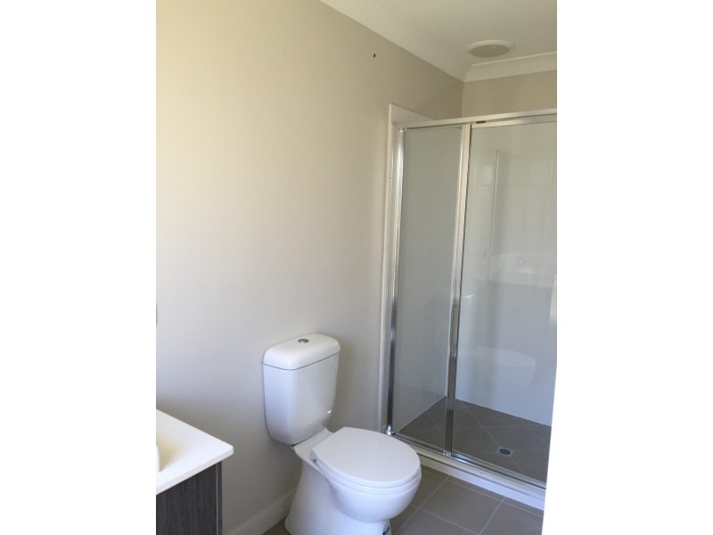 13 Snipe Street, Fletcher NSW 2287