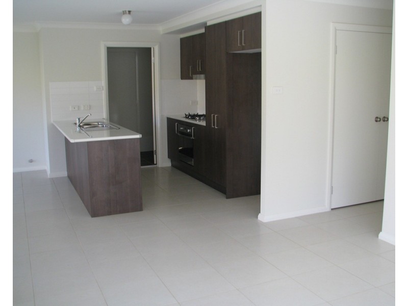 56 Adams Circuit, Elderslie NSW 2570