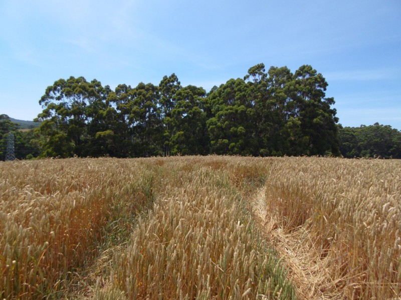 Lot 1 Bass Highway, Montumana TAS 7321