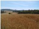 Lot 1 Bass Highway, Montumana TAS 7321