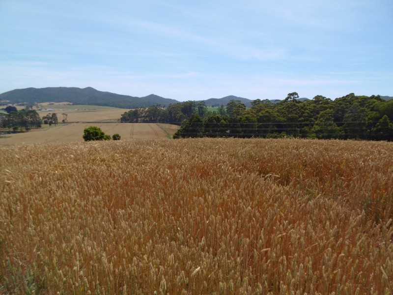 Lot 1 Bass Highway, Montumana TAS 7321