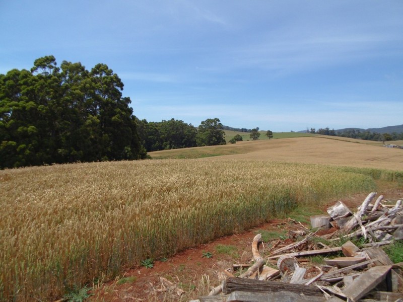 Lot 1 Bass Highway, Montumana TAS 7321