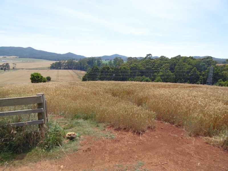 Lot 1 Bass Highway, Montumana TAS 7321