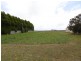 667 Backline Road, Forest TAS 7330