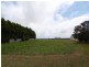 667 Backline Road, Forest TAS 7330