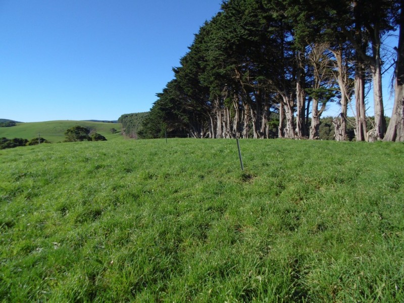 1 and 3 Huetts Road, Edith Creek TAS 7330