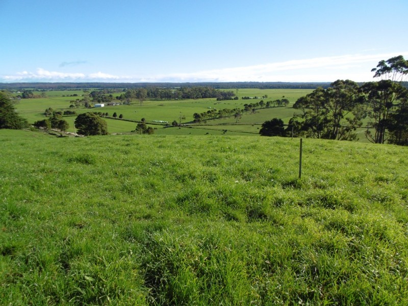 1 and 3 Huetts Road, Edith Creek TAS 7330