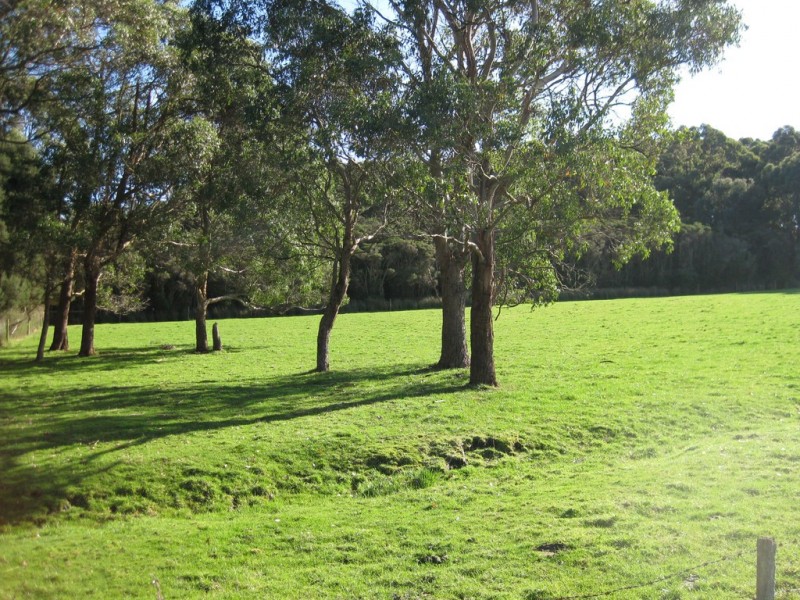 21 Old Stanley Road West, Smithton TAS 7330