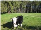 21 Old Stanley Road West, Smithton TAS 7330