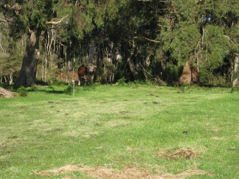 21 Old Stanley Road West, Smithton TAS 7330