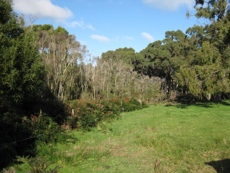 21 Old Stanley Road West, Smithton TAS 7330