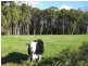21 Old Stanley Road West, Smithton TAS 7330