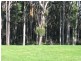 21 Old Stanley Road West, Smithton TAS 7330