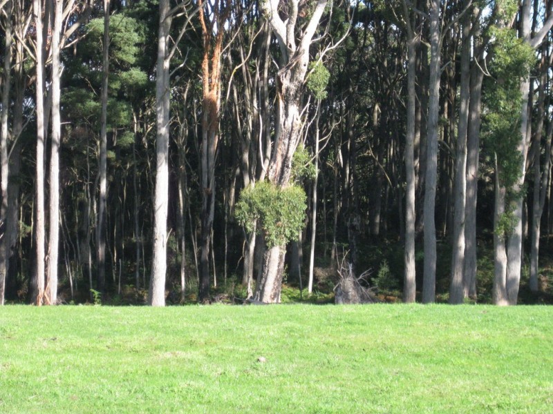 21 Old Stanley Road West, Smithton TAS 7330