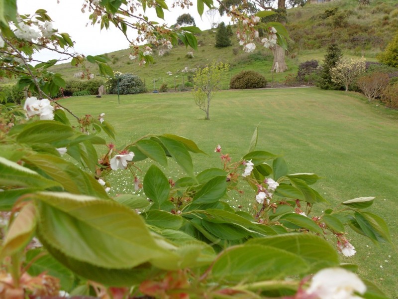 43 Scotchtown Road, Smithton TAS 7330