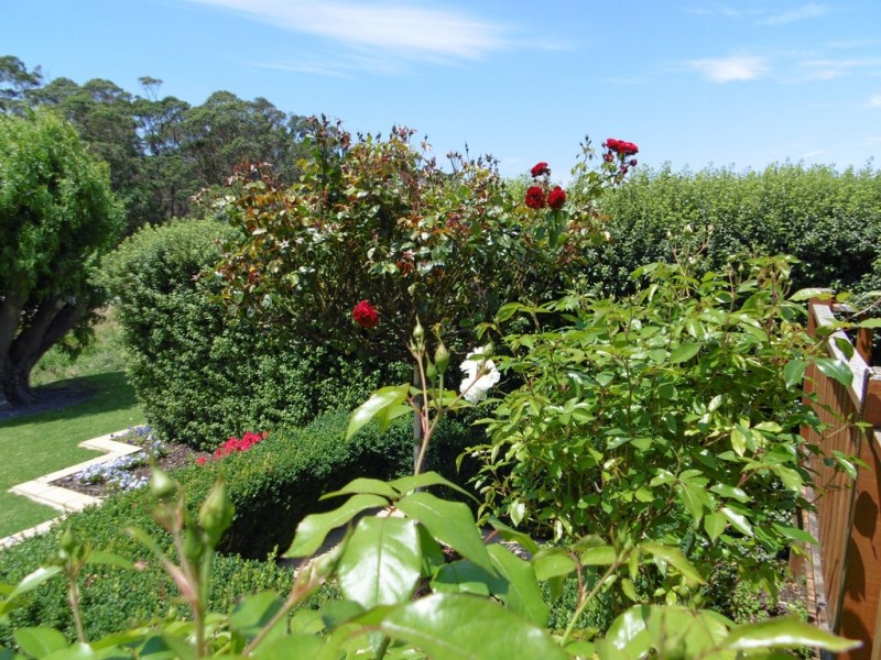 21223 Bass Highway, Wiltshire TAS 7321