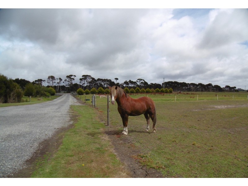 6 Pelican Point Road, Smithton TAS 7330