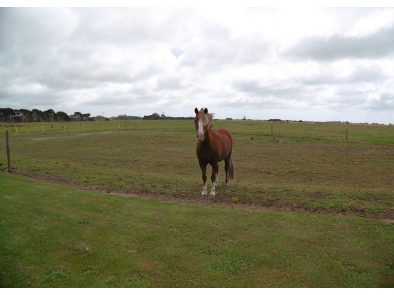 6 Pelican Point Road, Smithton TAS 7330