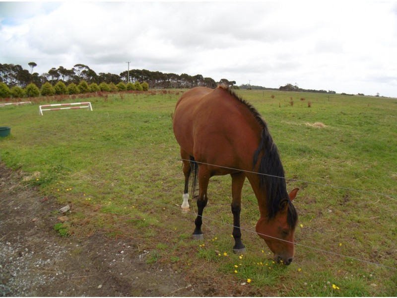 6 Pelican Point Road, Smithton TAS 7330