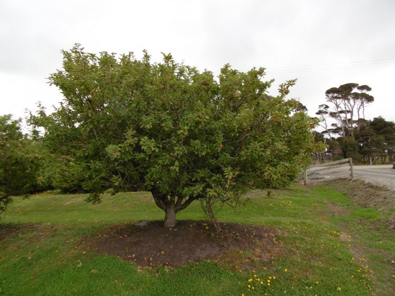 6 Pelican Point Road, Smithton TAS 7330