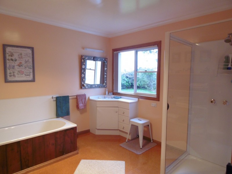 195 Comeback Road, Redpa TAS 7330