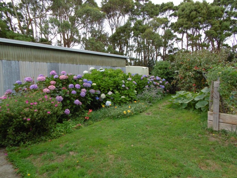 195 Comeback Road, Redpa TAS 7330