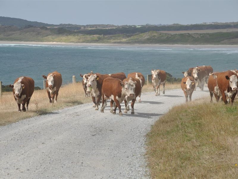 . . Green Point Road, Marrawah TAS 7330