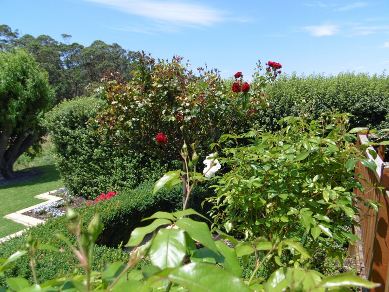 21223 Bass Highway, Wiltshire TAS 7321