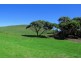 Lot 1 – 227 Green Point Road, Marrawah TAS 7330