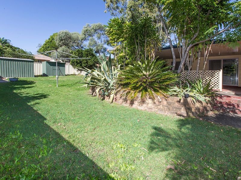 41 Kraatz Avenue, Loganlea QLD 4131