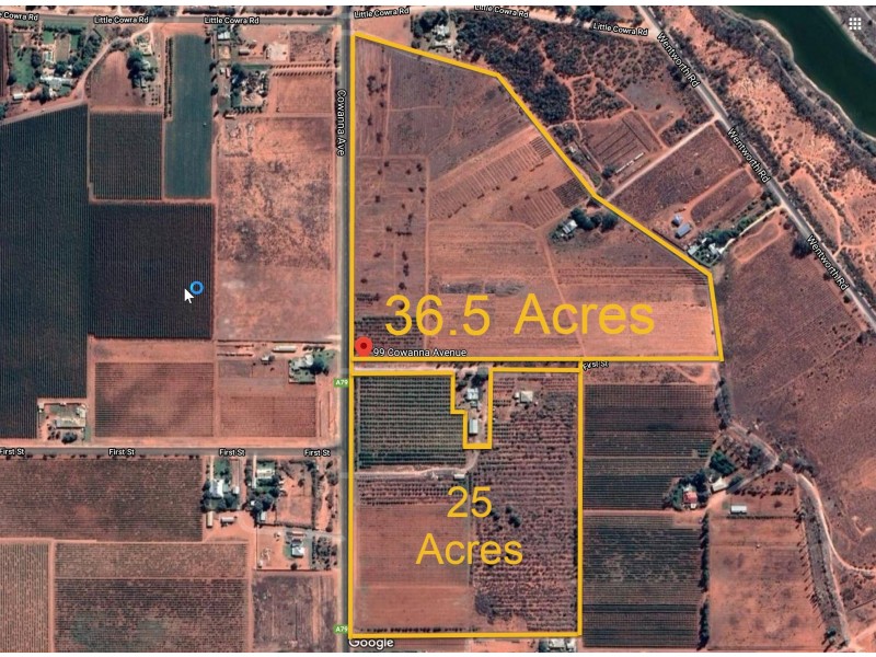 99 Cowanna Avenue, Merbein VIC 3505