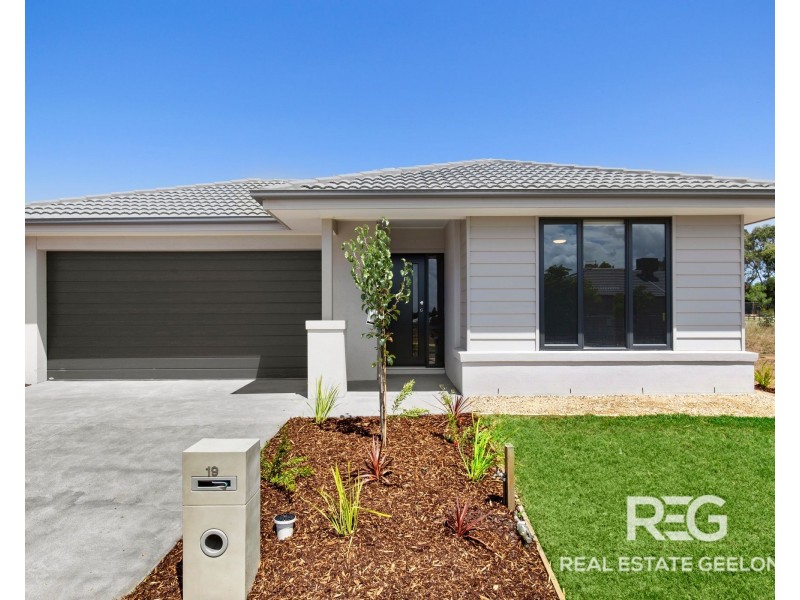 19 Fitzwalter Street, St Leonards VIC 3223