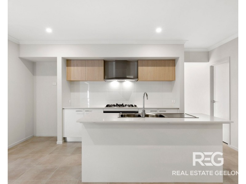 19 Fitzwalter Street, St Leonards VIC 3223