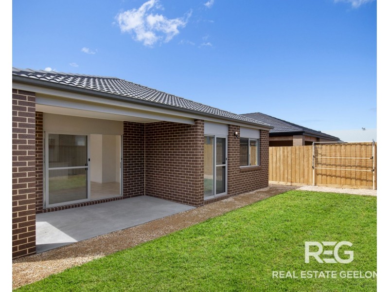19 Fitzwalter Street, St Leonards VIC 3223