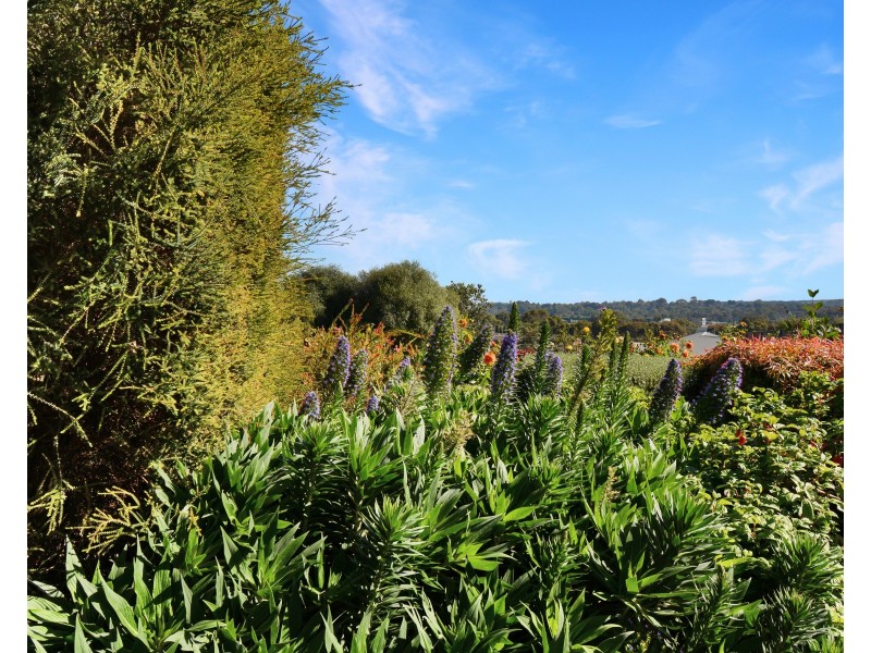 53 Rossack Drive, Grovedale VIC 3216