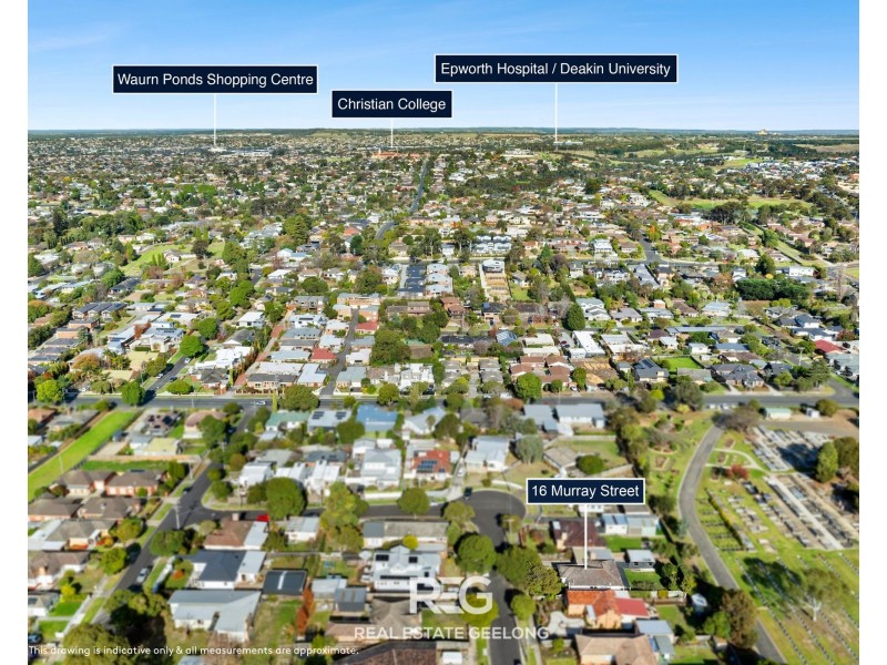 16 Murray Street, Highton VIC 3216