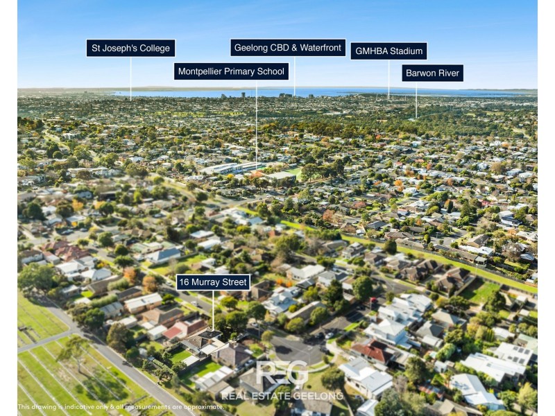 16 Murray Street, Highton VIC 3216