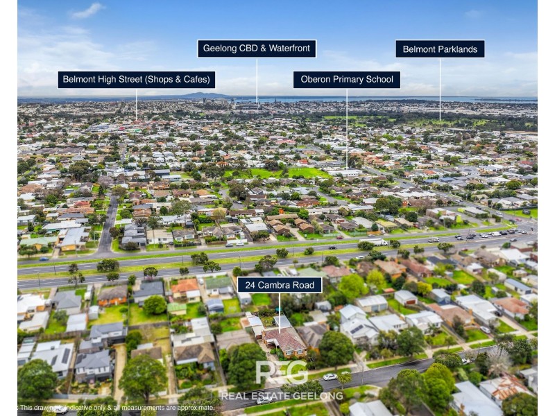 24 Cambra Road, Belmont VIC 3216