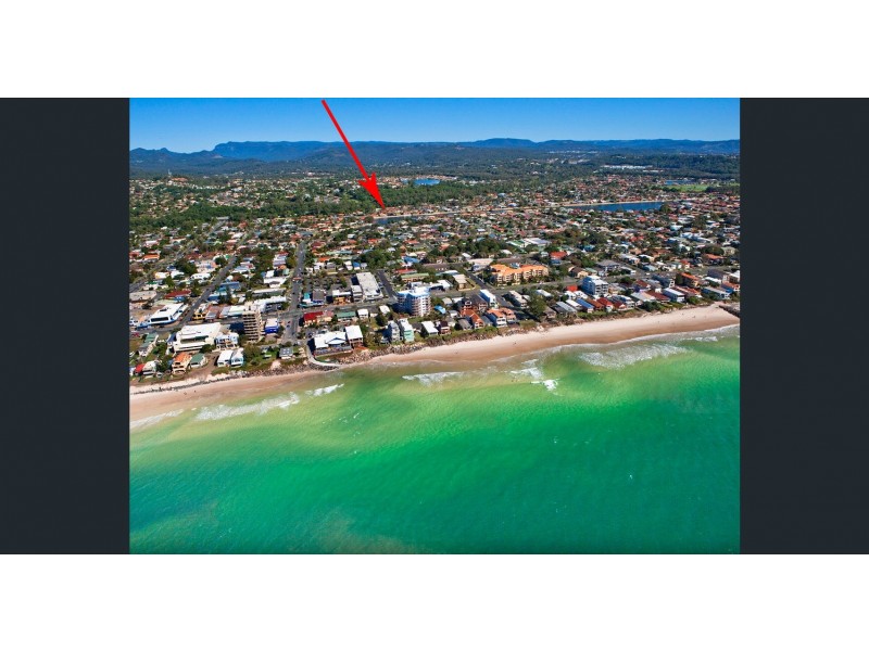 6 Myrtle Court, Palm Beach QLD 4221