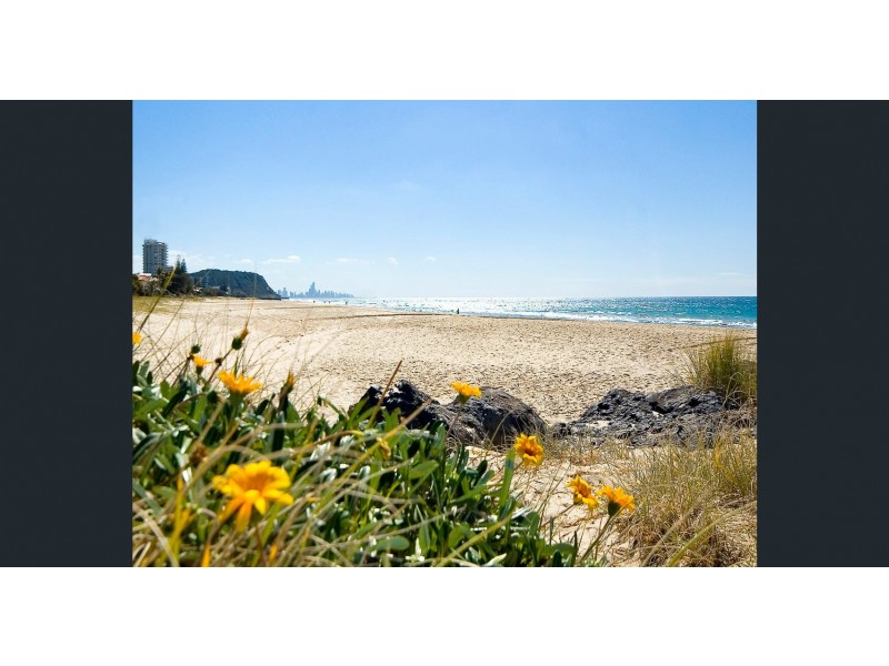 6 Myrtle Court, Palm Beach QLD 4221