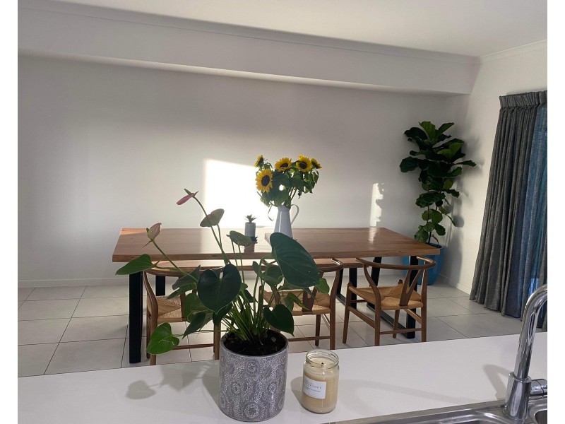 25 Greenview Terrace, Palmview QLD 4553