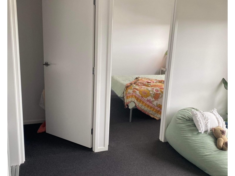 25 Greenview Terrace, Palmview QLD 4553