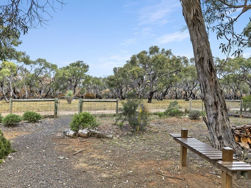 98 Harvey Street, Anglesea VIC 3230